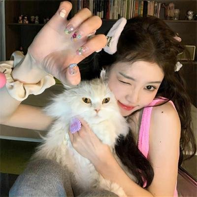 天降美食2